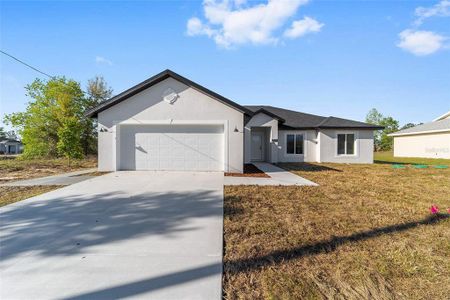 New construction Single-Family house 191 Juniper Loop Cir, Ocala, FL 34480 - image