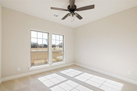 New construction Single-Family house 370 Wayward Spur, Springtown, TX 76082 - photo 16 16