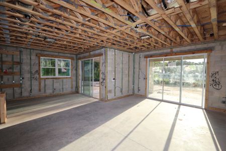 New construction Single-Family house 20131 Oriana Loop, Land O' Lakes, FL 34638 Sonoma II- photo 66 66