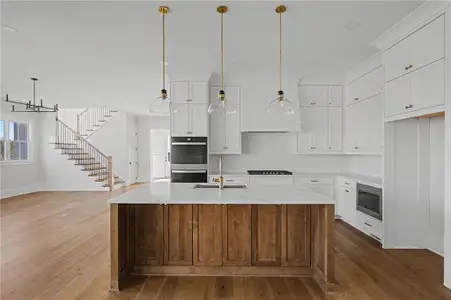 New construction Single-Family house 323 Reese Wy, Ball Ground, GA 30107 plan The Desoto A - image 5