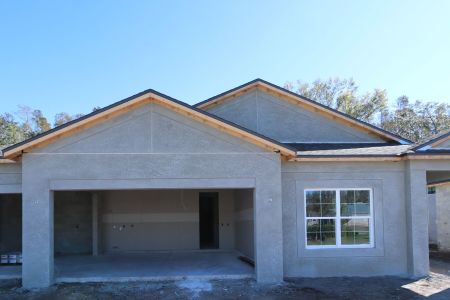 New construction Single-Family house 20339 Oriana Loop, Land O' Lakes, FL 34638 Newport II- photo 43 43