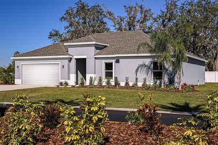 New construction Single-Family house 704 Oak Hammock Wy, Avon Park, FL 33825 - image