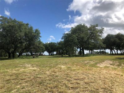 New construction Single-Family house 1906 Coleman Ranch Rd, Tolar, TX 76476 null- photo 4 4