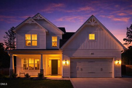 New construction Single-Family house 2815 Lemuel Black Rd, Bunnlevel, NC 28323 - image