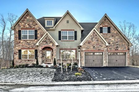 New construction Single-Family house Waxhaw, NC 28173 plan Ethan - image