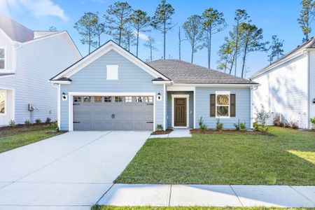 New construction Single-Family house 435 Monterey Lp, Richmond Hill, GA 31324 plan Morgan - image