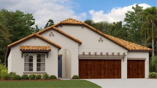 New construction Single-Family house 17420 Holly Well Avenue, Wimauma, FL 33598 - photo 0