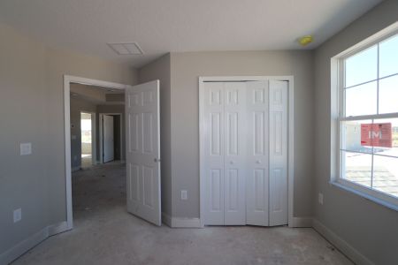 New construction Single-Family house 31236 Denham Ridge Ln, Wesley Chapel, FL 33545 Santa Monica- photo 92 92