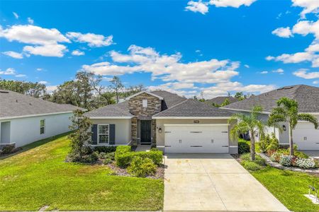 New construction Single-Family house 17131 11Th Ter E, Bradenton, FL 34212 - image
