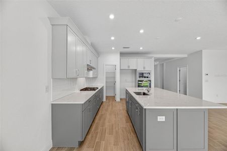 New construction Single-Family house 6218 Hidden Branch Dr, Apollo Beach, FL 33572 plan The Brighton - image 7