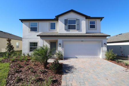 New construction Single-Family house 12219 Hilltop Farms Dr, Dade City, FL 33525 Malibu- photo 127 127