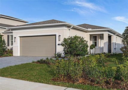 New construction Single-Family house 514 Hammock Oaks Blvd, Lady Lake, FL 32159 - image