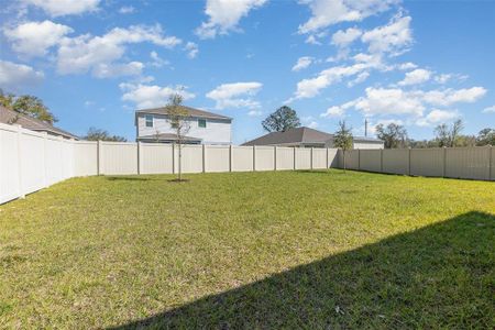 New construction Single-Family house 204 Pinecrest Rd, Mount Dora, FL 32757 The Orion V- photo 24 24