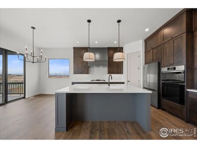 New construction Single-Family house 17 Boxwood Dr, Windsor, CO 80550 - image 4