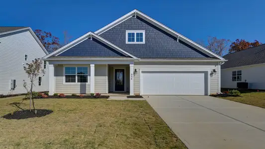 New construction Single-Family house 234 Livingston Woods Dr, Irmo, SC 29063 plan LITCHFIELD - image