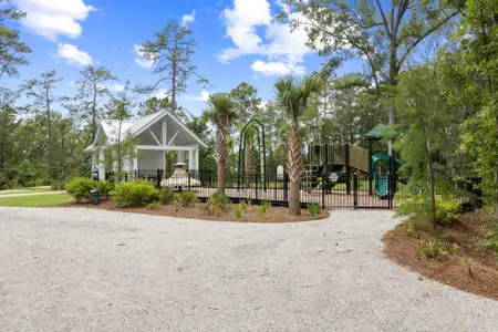 New construction Single-Family house 405 Blowing Fresh Dr, Charleston, SC 29492 - image 20