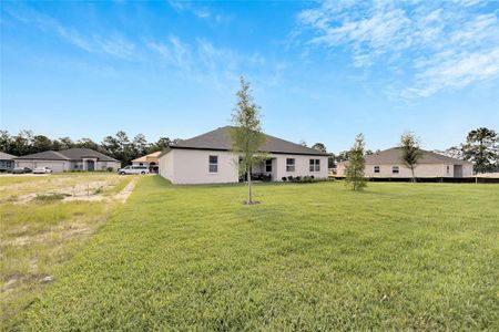 New construction Single-Family house 839 Tierra Dr, Spring Hill, FL 34609 Strabane- photo 48 48