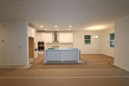 New construction Single-Family house 20288 Oriana Loop, Land O' Lakes, FL 34638 Coronado II- photo 106 106