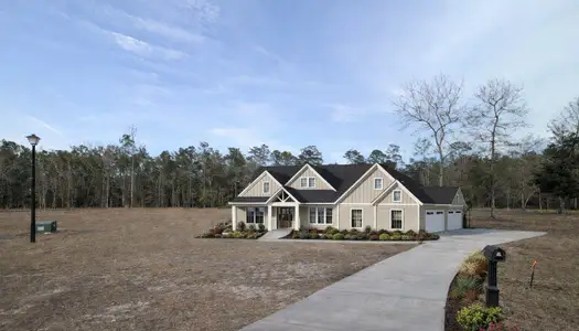 New construction Single-Family house 170 Rice Gate Ct, Walterboro, SC 29488 - image