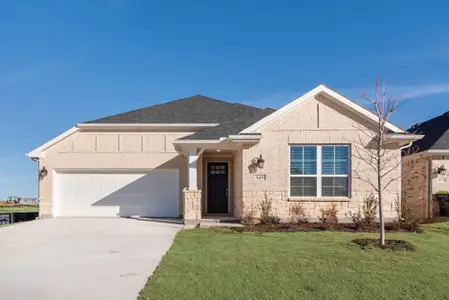 New construction Single-Family house 849 Blue Fescue Rd, Justin, TX 76247 plan Amelia - image