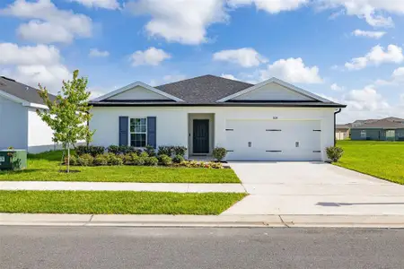 New construction Single-Family house 1620 Texas Ave, Sumterville, FL 33585 - image