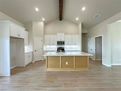 New construction Single-Family house 402 Juniper Dr, Troy, TX 76579 plan Luxor - image 5