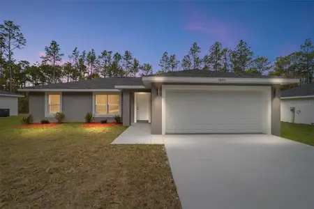 New construction Single-Family house 3598 Sw 151St Ct, Ocala, FL 34481 - image