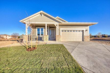 New construction Single-Family house 8412 Cromwell Circle, Windsor, CO 80528 - photo 0