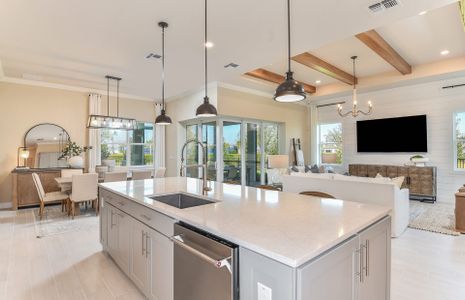 New construction Single-Family house 16739 Harvest Leaf Rd, Spring Hill, FL 34610 plan Renown - image