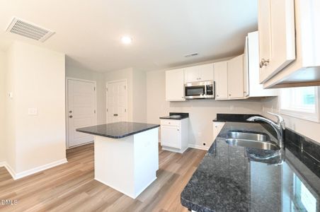 New construction Single-Family house 219 Hill Valley Dr, La Grange, NC 28551 - image