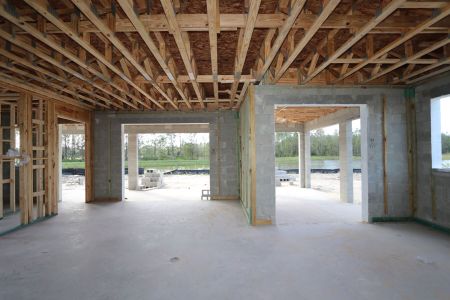 New construction Single-Family house 1787 Drummond Pt, Zephyrhills, FL 33541 Sonoma II- photo 27 27