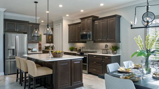 New construction Single-Family house 2013 Coconut Palm Cv, Lakewood Ranch, FL 34212 plan White Star - image 6