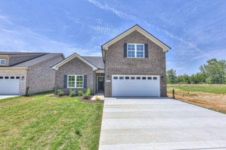 New construction Single-Family house 201 N Fork Branch Rd, Tullahoma, TN 37388 - image