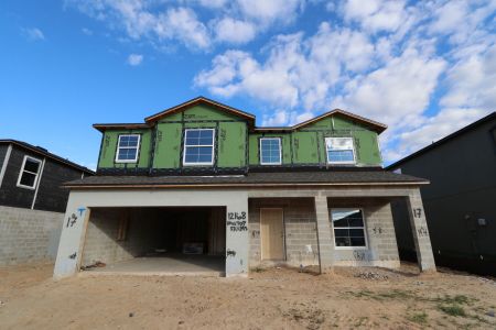 New construction Single-Family house 12168 Hilltop Farms Dr, Dade City, FL 33525 Malibu- photo 55 55