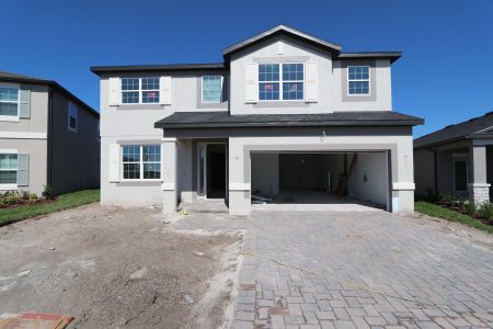 New construction Single-Family house 31223 Denham Ridge Ln, Wesley Chapel, FL 33545 Sonoma II- photo 69 69