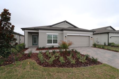 New construction Single-Family house 753 Hillshire Pl, Spring Hill, FL 34609 Picasso- photo 116 116