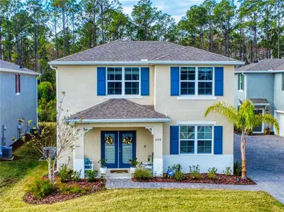New construction Townhouse house 3078 Meleto Blvd, New Smyrna Beach, FL 32168 - image