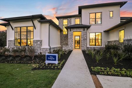 New construction Single-Family house 143 Prairie Grass Cv, Driftwood, TX 78619 - image