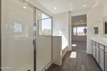 New construction Single-Family house 12800 N 172Nd Dr, Surprise, AZ 85388 null- photo 21 21