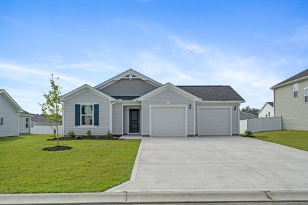 New construction Single-Family house 1020 Kinness Dr, Conway, SC 29527 plan Efficient - image