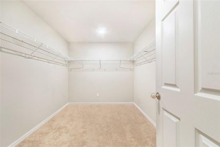 New construction Single-Family house 870 Sand Sea Pl, Haines City, FL 33844 plan Catalina - image 16