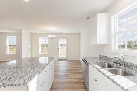 New construction Single-Family house 32 Littlefield Ln, La Grange, NC 28551 - image 8