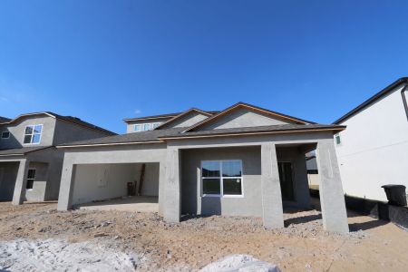 New construction Single-Family house 38413 Pindos Dr, Dade City, FL 33525 Picasso Bonus- photo 96 96