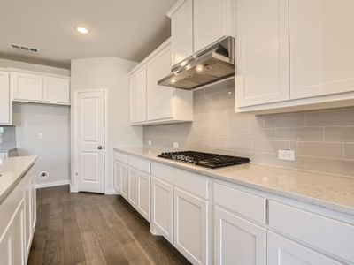 North Sky 55s by American Legend Homes in Celina - photo 20 20