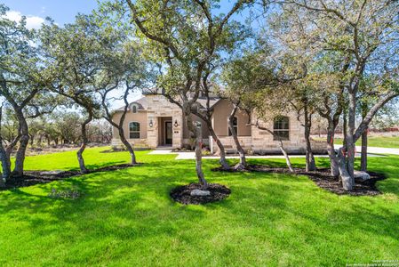 Potranco Acres by Texas Homes in Castroville - photo 4 4