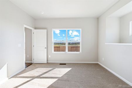 New construction Single-Family house 870 Sawdust Dr, Brighton, CO 80601 null- photo 9 9