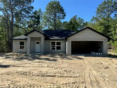 New construction Single-Family house 12 Guava Terrace Radl, Ocklawaha, FL 32179 null- photo 0