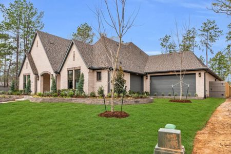 Artavia by Jamestown Estate Homes in Conroe - photo 9 9