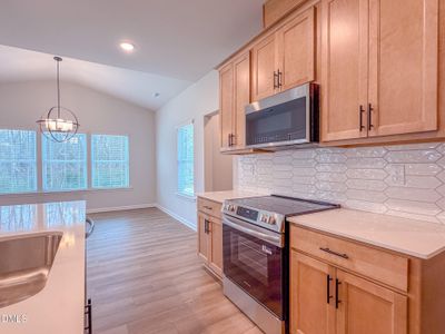 New construction Single-Family house 460 Beacon Hill Rd, Lillington, NC 27546 - image 12
