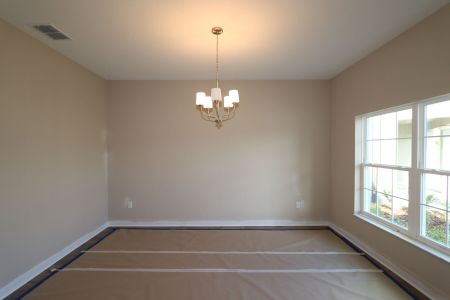 New construction Single-Family house 20125 Oriana Loop, Land O' Lakes, FL 34638 Santina II- photo 141 141